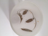 Load image into Gallery viewer, Federal Glass Mid-Century Mod Flower Glasses with Carrier (Set of 6)
