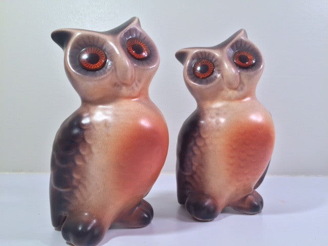 Vintage Retro Owls (Set of 2)