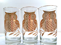 Load image into Gallery viewer, Mid-Century Retro Gold Owl Highball Glasses (Set of 6)
