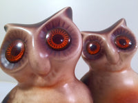 Load image into Gallery viewer, Vintage Retro Owls (Set of 2)
