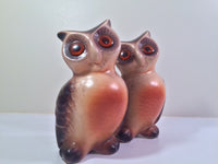Load image into Gallery viewer, Vintage Retro Owls (Set of 2)
