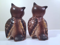 Load image into Gallery viewer, Vintage Retro Owls (Set of 2)
