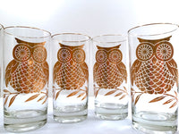 Load image into Gallery viewer, Mid-Century Retro Gold Owl Highball Glasses (Set of 6)
