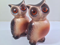Load image into Gallery viewer, Vintage Retro Owls (Set of 2)
