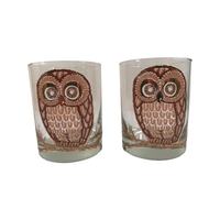Load image into Gallery viewer, Georges Briard Signed Vintage Retro Owl Double Old Fashion Glasses (Set of 2)
