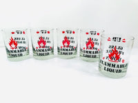 Load image into Gallery viewer, Vintage Flammable Liquid Double Old Fashion Glasses (Set of 5)
